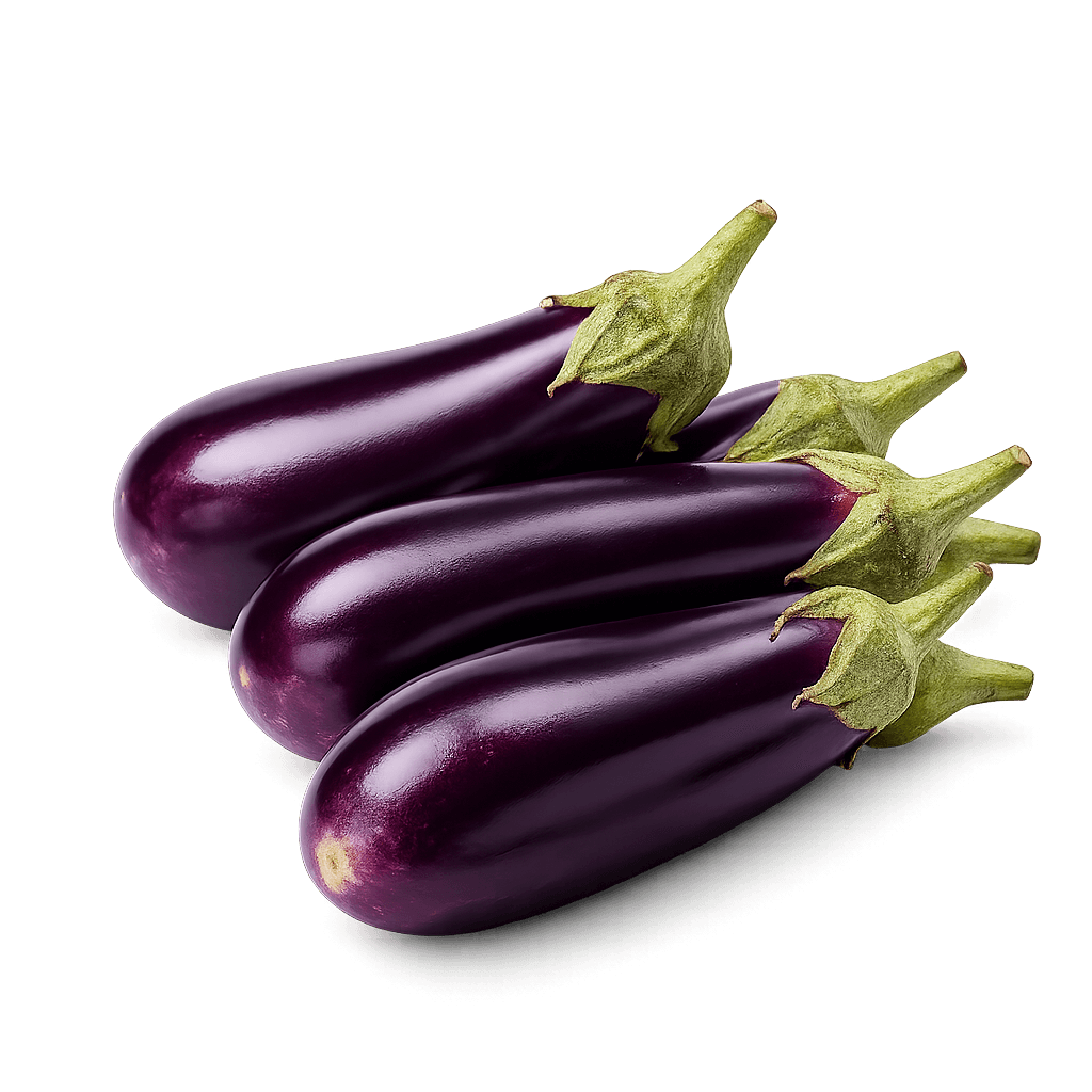 Premium Grade Brinjal for Export