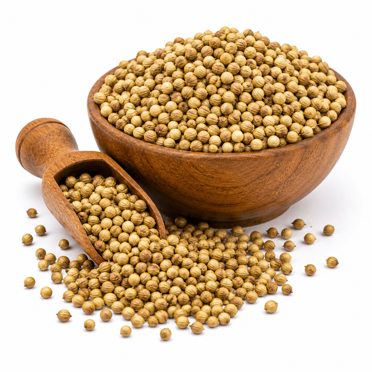 Oilseeds & Nuts