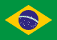 South America flag